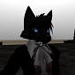 Rin Elyran's picture