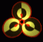 Agent5's picture