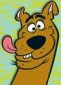 scooby's picture