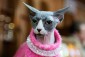 peapod's picture