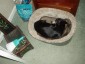 scott Praed's picture