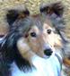 Dadly's picture