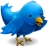 Twitter page